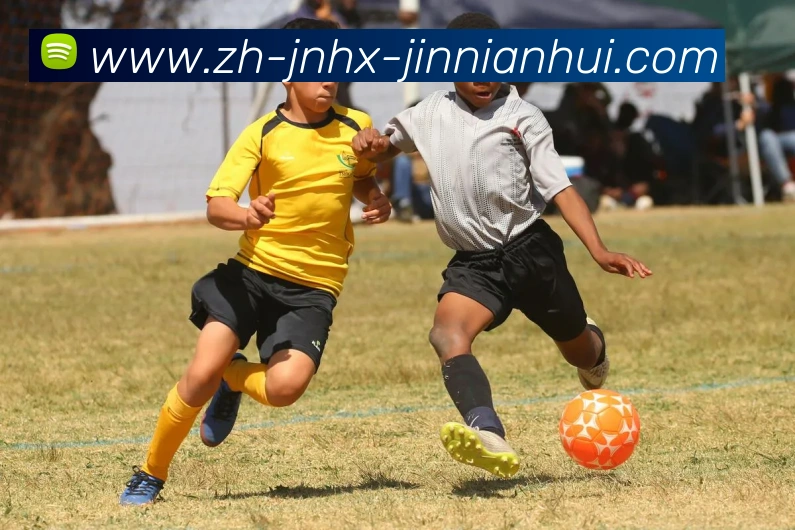 金年会体育APP 封面图